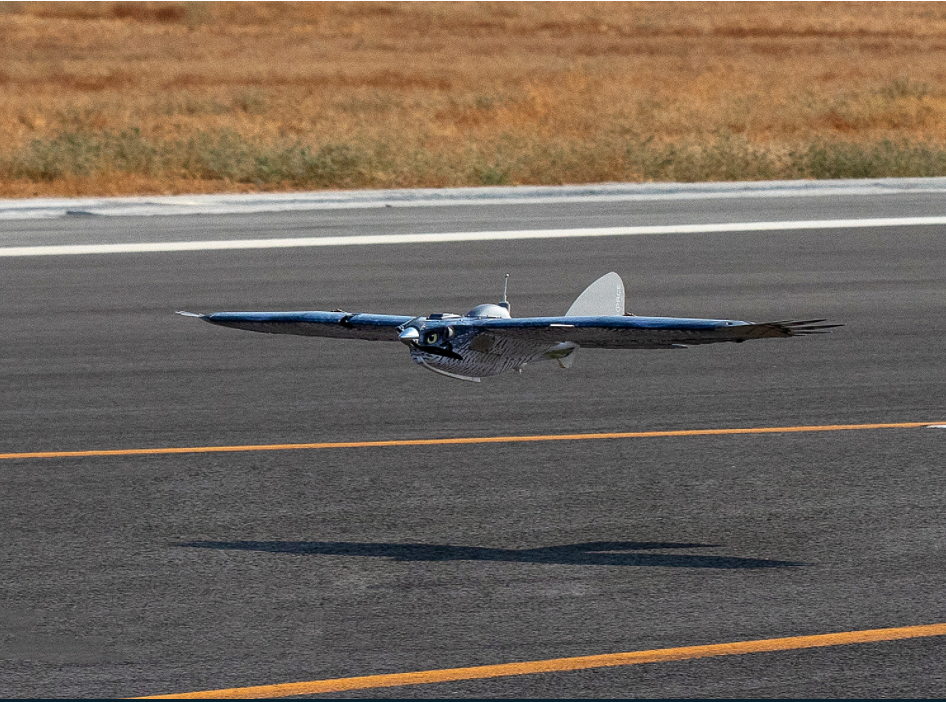 SHEPHERD_AIRPORTS RPAS ARQUIMEA-airport-services-rpas-drones-safety